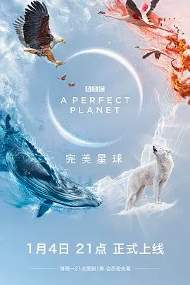 《完美星球》：BBC史诗级纪录片，震撼揭秘地球生命的壮丽篇章与生存挑战